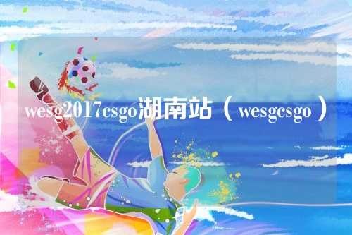 wesg2017csgo湖南站（wesgcsgo）
